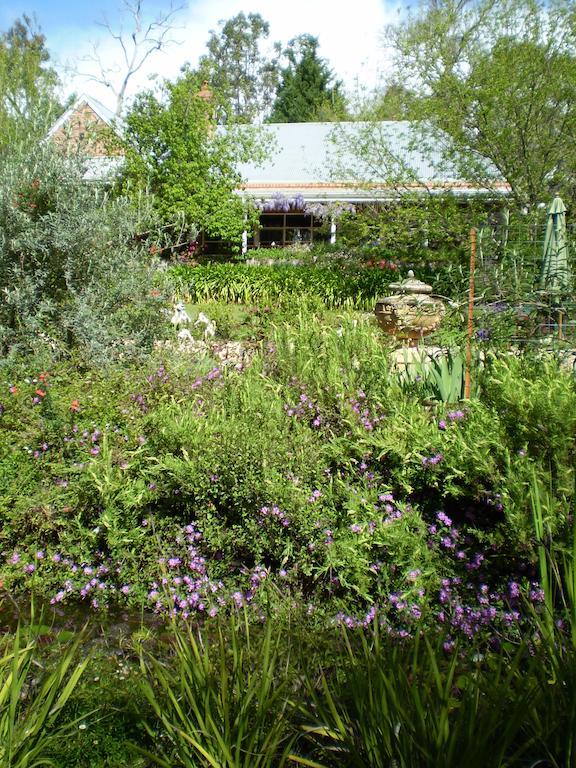 Hostal Redgum Hill Country Retreat Balingup Habitación foto