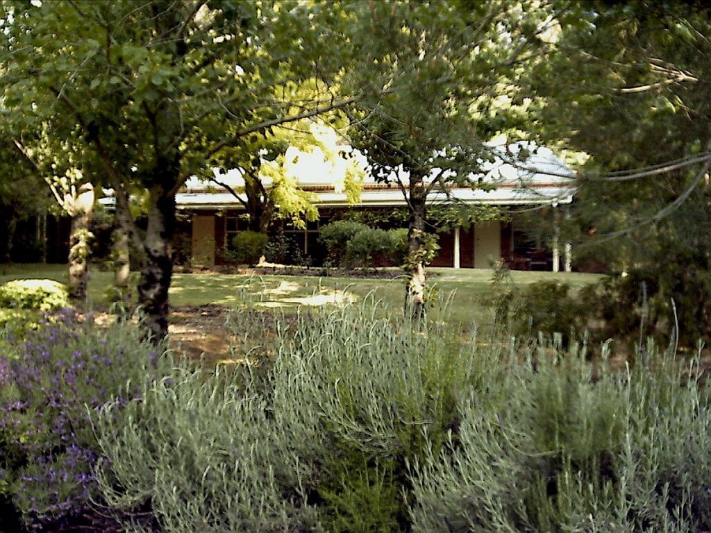Hostal Redgum Hill Country Retreat Balingup Habitación foto