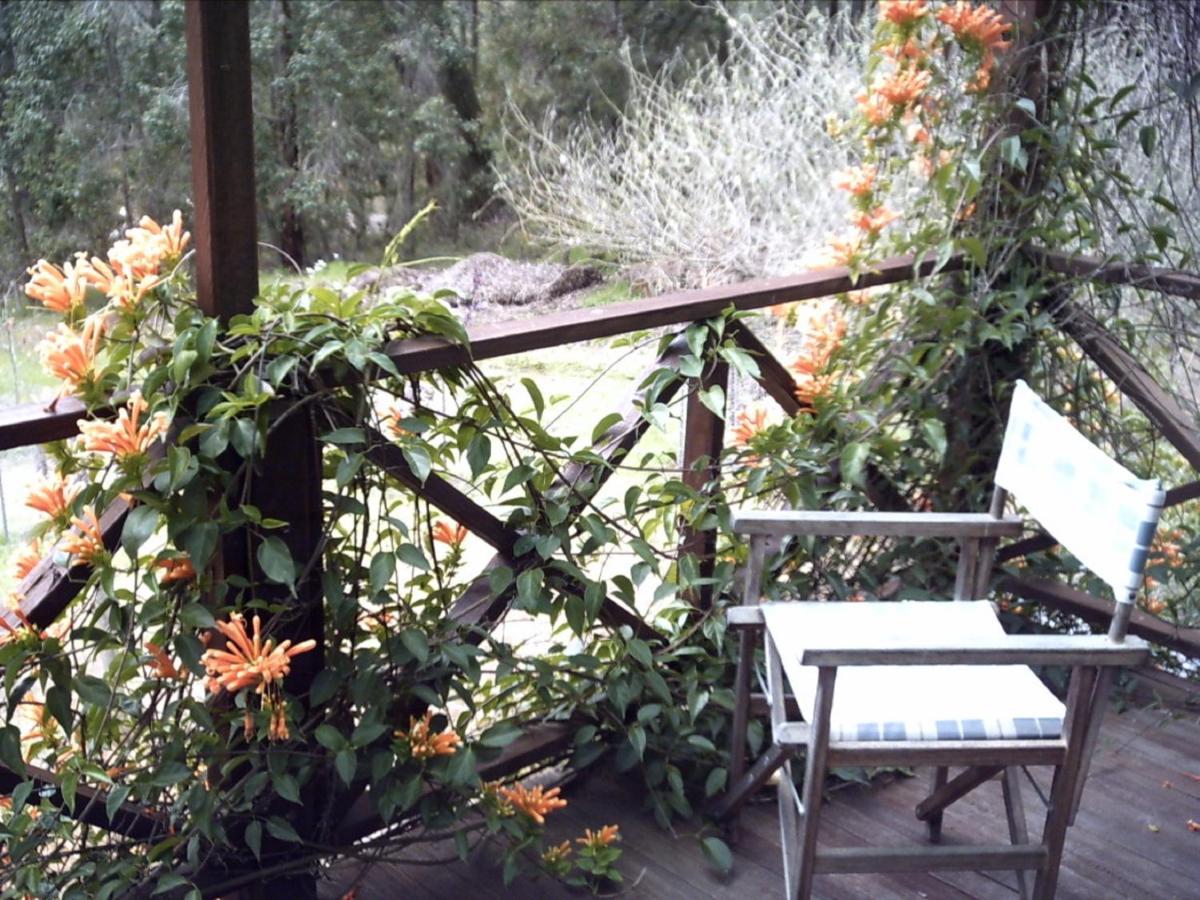 Hostal Redgum Hill Country Retreat Balingup Exterior foto