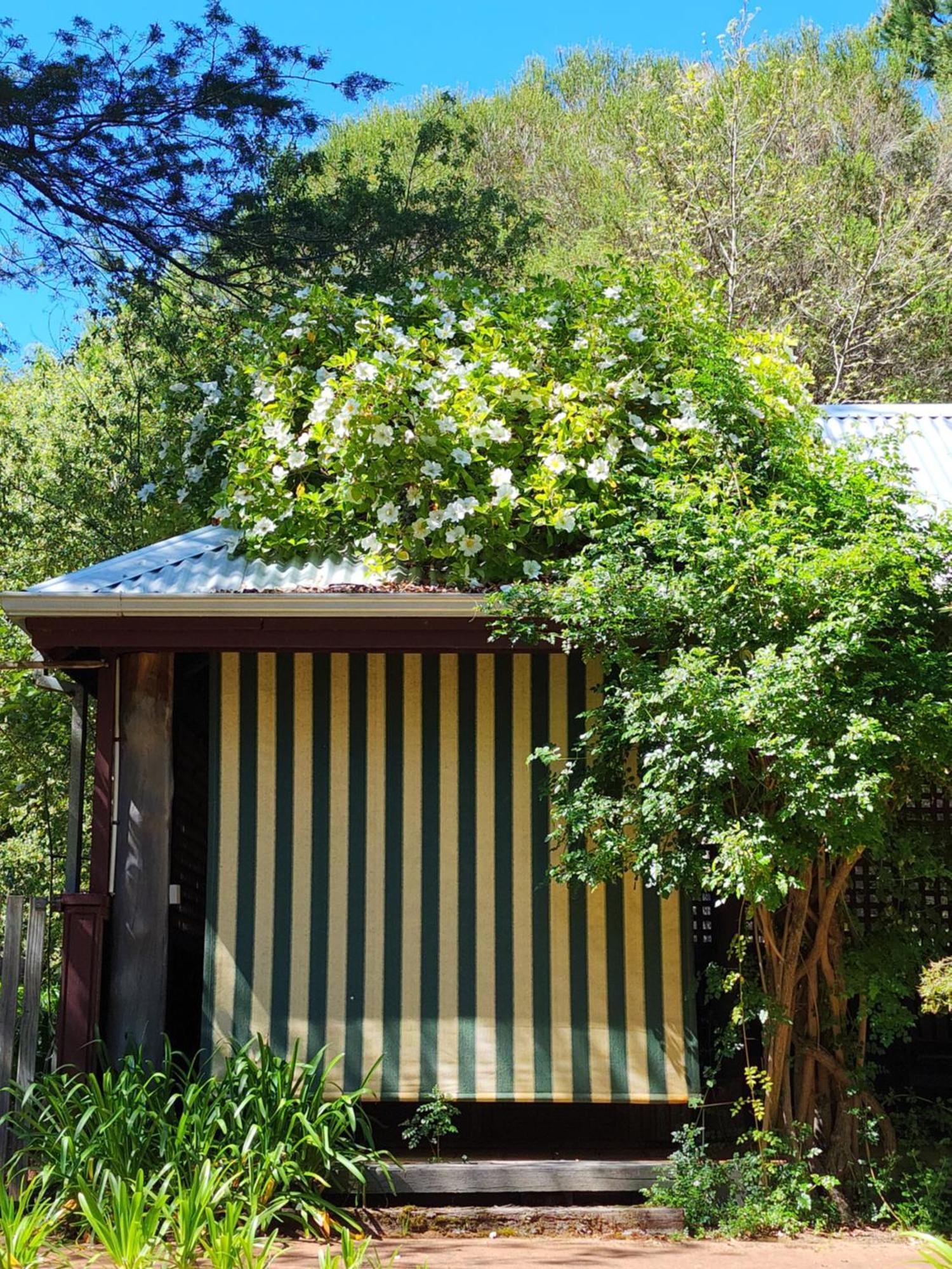 Hostal Redgum Hill Country Retreat Balingup Exterior foto