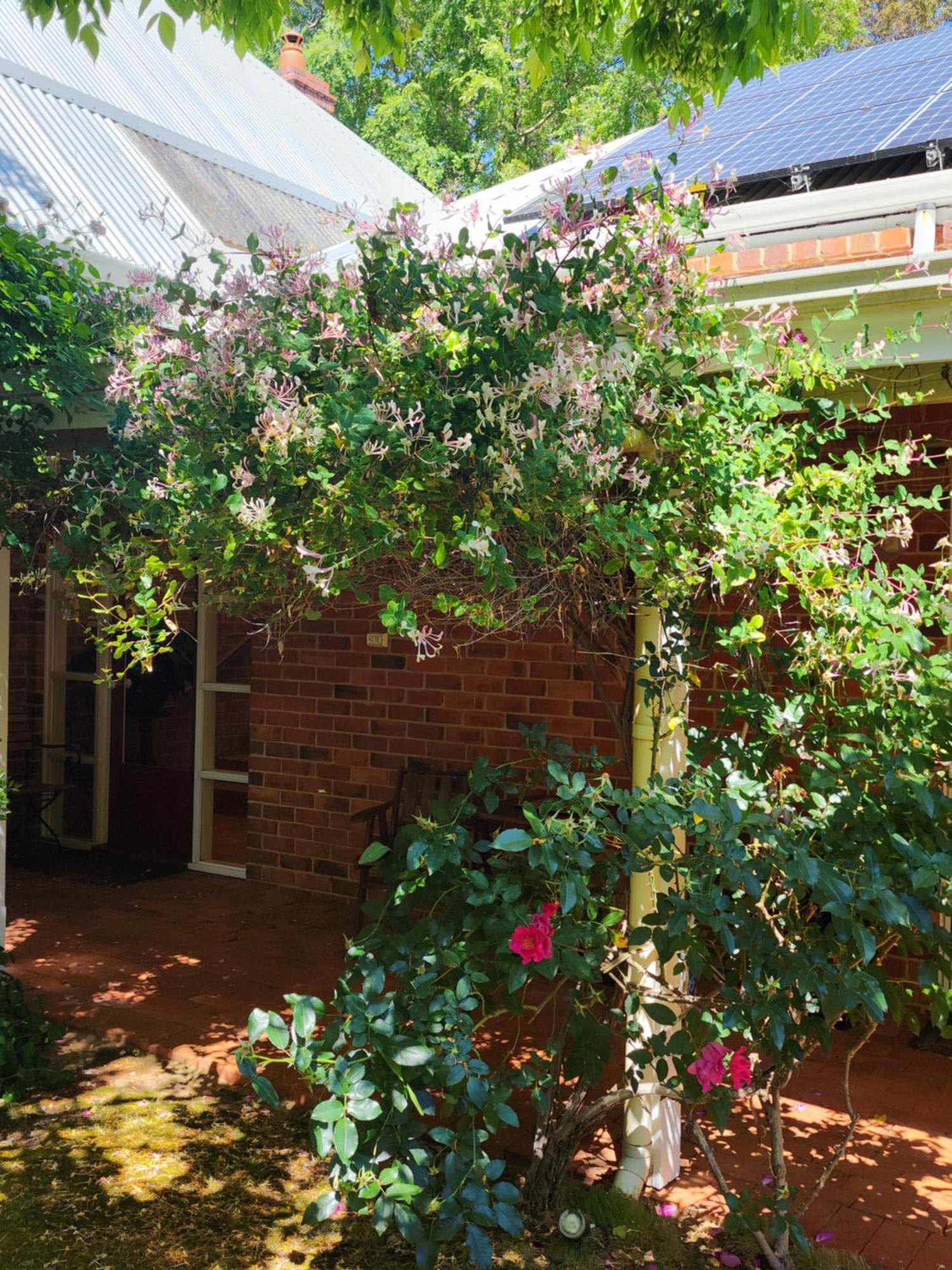 Hostal Redgum Hill Country Retreat Balingup Exterior foto